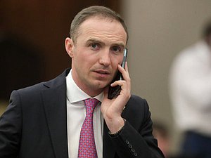 Заместитель Председателя Комитета по развитию Дальнего Востока и Арктики Антон Басанский