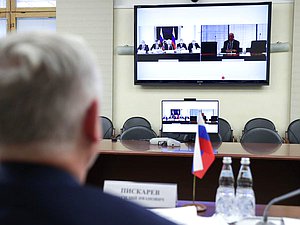 Virtual meeting of members of the State Duma Commission on the Investigation of Foreign Interference in Russia’s Internal Affairs and members of the German-Russian Parliamentary Friendship Group of the German Bundestag