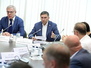 Председатель Комитета по экологии, природным ресурсам и охране окружающей среды Дмитрий Кобылкин и Первый заместитель Председателя Комитета Вячеслав Фетисов