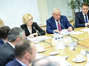 Заседание Комитета по развитию Дальнего Востока и Арктики