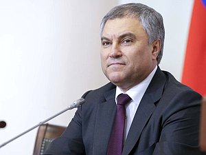 Председатель Государственной Думы Вячеслав Володин