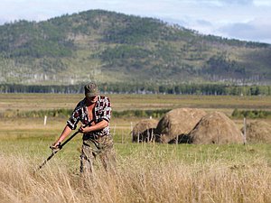 сено село трава поле сельское хозяйство урожай