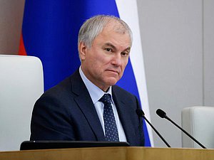 Председатель Государственной Думы Вячеслав Володин