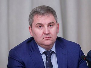 Заместитель Председателя Комитета по контролю Дмитрий Ламейкин