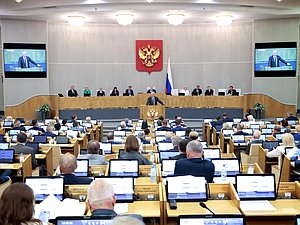 Пленарное заседание Володин нейтральное общий план