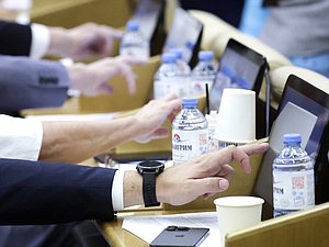 plenary session voting