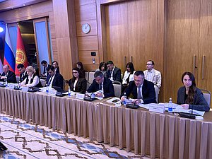 Заседание Консультативного совета по труду, занятости и социальной защите населения государств-участников СНГ