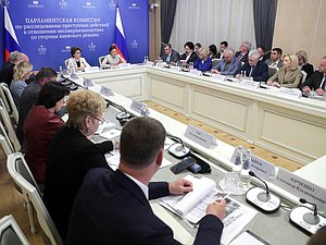 Первое заседание Парламентской комиссии по расследованию преступных действий в отношении несовершеннолетних со стороны киевского режима