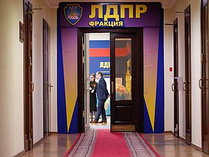 фракция ЛДПР нейтрально