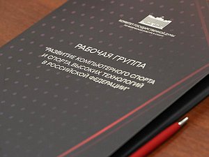 Заседание Комитета по физической культуре и спорту