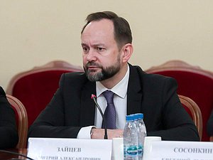 Аудитор Счетной палаты РФ Дмитрий Зайцев