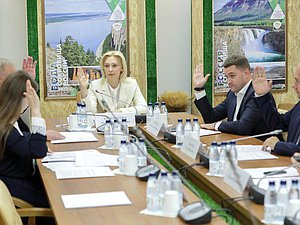 Заседание Комитета по развитию гражданского общества, вопросам общественных и религиозных объединений