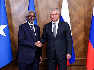 Chairman of the State Duma Vyacheslav Volodin and Speaker of the Senate of the Federal Parliament of the Federal Republic of Somalia Abdi Hashi Abdullahi