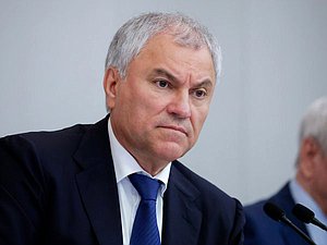 Председатель Государственной Думы Вячеслав Володин