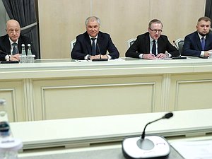 Meeting of Chairman of the State Duma Vyacheslav Volodin and Deputy Speaker of the National Council of the Slovak Republic Andrej Danko