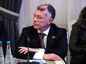 Председатель Комитета по экономической политике Максим Топилин