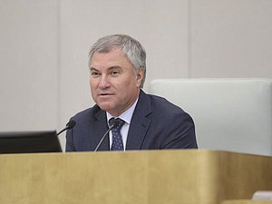 Председатель Государственной Думы Вячеслав Володин