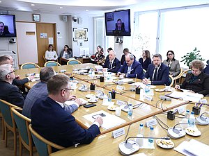 Заседание Комитета по развитию Дальнего Востока и Арктики