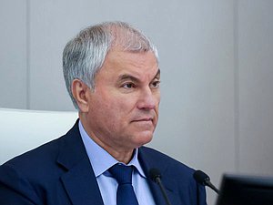 Председатель Государственной Думы Вячеслав Володин