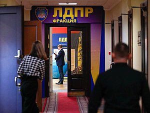фракция ЛДПР нейтральное