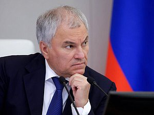 Председатель Государственной Думы Вячеслав Володин