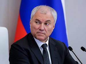 Председатель Государственной Думы Вячеслав Володин