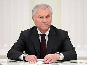 Председатель Государственной Думы VIII созыва Вячеслав Володин