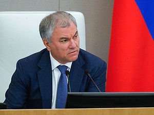 Председатель Государственной Думы Вячеслав Володин