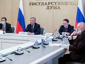 Meeting of Chairman of the State Duma Viacheslav Volodin with Head of the Bank of Russia Elvira Nabiullina on banking issues held via videoconference