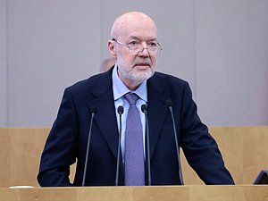 Председатель Комитета по государственному строительству и законодательству Павел Крашенинников