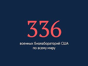 тамлв Т