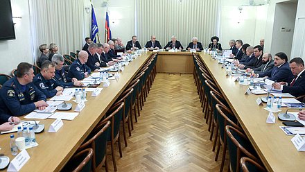 Заседание Комитета по безопасности и противодействию коррупции с участием представителей МВД и МЧС
