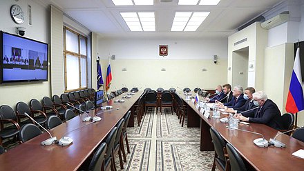 Virtual meeting of members of the State Duma Commission on the Investigation of Foreign Interference in Russia’s Internal Affairs and members of the German-Russian Parliamentary Friendship Group of the German Bundestag