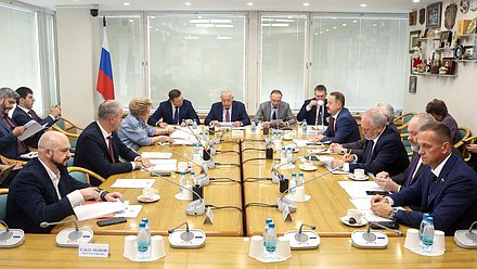 Заседание Комитета по развитию Дальнего Востока и Арктики