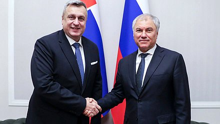 Meeting of Chairman of the State Duma Vyacheslav Volodin and Deputy Speaker of the National Council of the Slovak Republic Andrej Danko