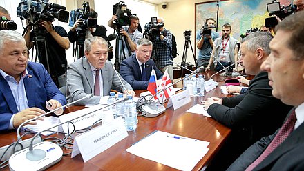 Meeting of the informal Russia-Georgia inter-parliamentary dialogue group