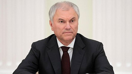 Председатель Государственной Думы VIII созыва Вячеслав Володин