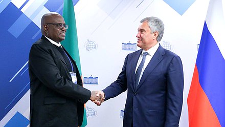 Chairman of the State Duma Viacheslav Volodin and Speaker of the National Assembly of the Republic of Zambia Patrick Matibini