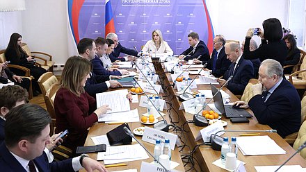 Заседание Комитета по развитию гражданского общества, вопросам общественных и религиозных объединений