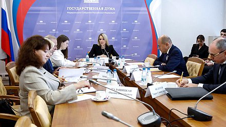 Заседание Комитета по развитию гражданского общества, вопросам общественных и религиозных объединений