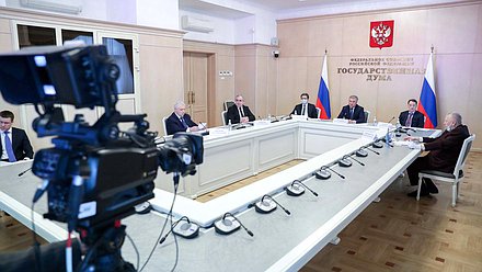 Meeting of Chairman of the State Duma Viacheslav Volodin with Head of the Bank of Russia Elvira Nabiullina on banking issues held via videoconference