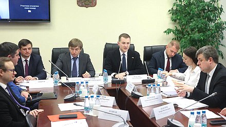 Заседание Комитета по молодежной политике с участием главы Федерального агентства по делам молодежи Григория Гурова