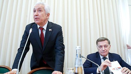 Руководитель фракции «Единая Россия» Владимир Васильев и Первый заместитель руководителя фракции Вячеслав Макаров