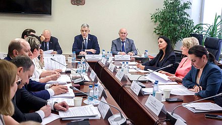 Заседание Комитета по делам национальностей