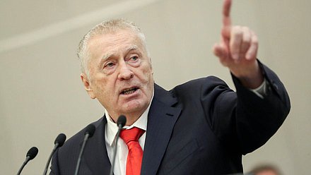 Руководитель фракции ЛДПР Владимир Жириновский