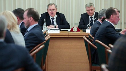 Министр энергетики РФ Николай Шульгинов и член Комитета по государственному строительству и законодательству Дмитрий Вяткин