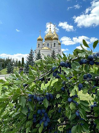 Алексеевка