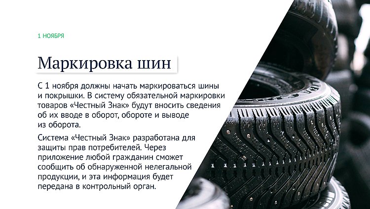 шины