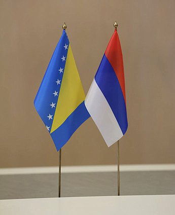 First meeting of the Commission on Cooperation between the State Duma and the National Assembly of the Republic of Srpska (Bosnia and Herzegovina)