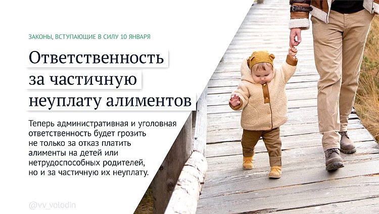 алименты